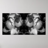 Appels op boom zwart en wit spiegel Abstract Poster (Voorkant)