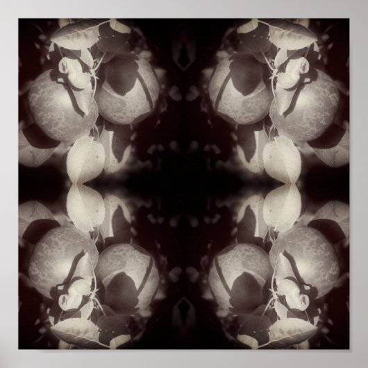 Appels op de boom zwart-wit Abstract Poster (Voorkant)