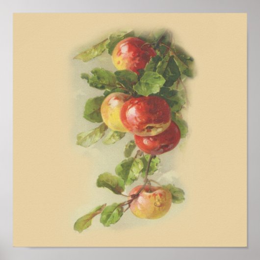  appels poster (Voorkant)