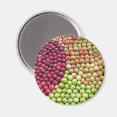 appelwerveling magneet (Voorkant / Achterkant)