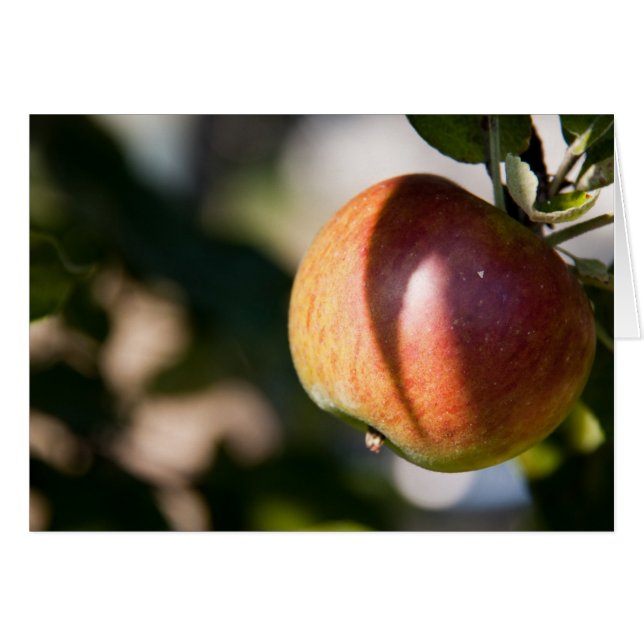 Apple (Devant horizontal)