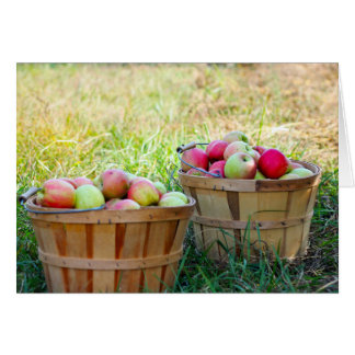 Apple Baskets