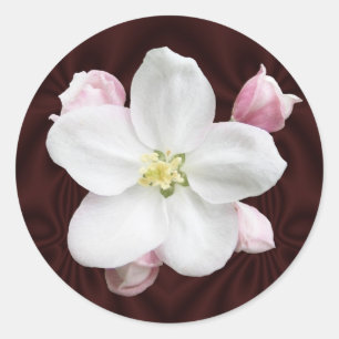 Apple Blossom ~ autocollant