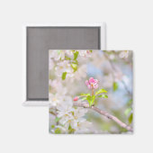 Apple blossom - Beauty Magneet (Voorkant / Achterkant)