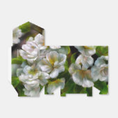 Apple Blossom Bedankdoosjes (Uitgevouwen)