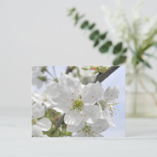Apple Blossom Briefkaart (Staand voorkant)