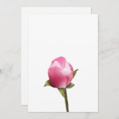 Apple Blossom Bud Feestdagenkaart (Voorkant / Achterkant)