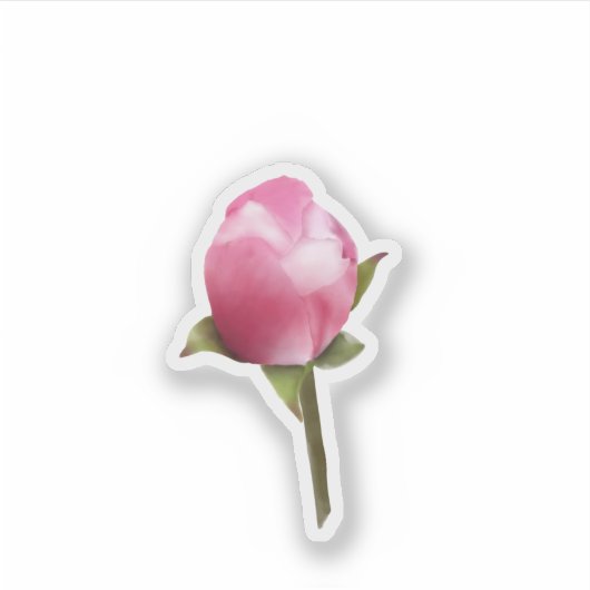 Apple Blossom Bud Sticker (Voorkant)
