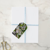Apple Blossom Cadeaulabel (Met Touw)