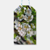 Apple Blossom Cadeaulabel (Voorkant)