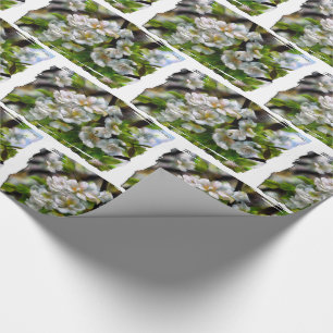 Apple Blossom Cadeaupapier