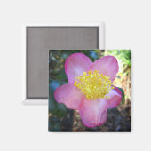 Apple Blossom Camelia Photo Square Magnet Magneet (Voorkant / Achterkant)