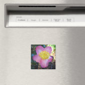 Apple Blossom Camelia Photo Square Magnet Magneet (Insitu (Vaatwasser))