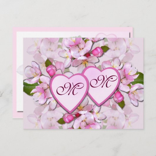 APPLE BLOSSOM & COEURS ~ Carte postale (Devant / Derrière)
