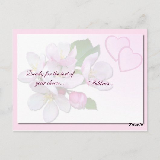 APPLE BLOSSOM & COEURS ~ Carte postale (Dos)