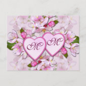 APPLE BLOSSOM & COEURS ~ Carte postale (Devant)