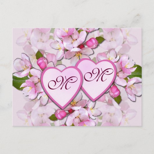 APPLE BLOSSOM & COEURS ~ Carte postale (Devant)