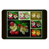 Apple Blossom Collage - Enhanced Digital Photo Magneet (Horizontaal)