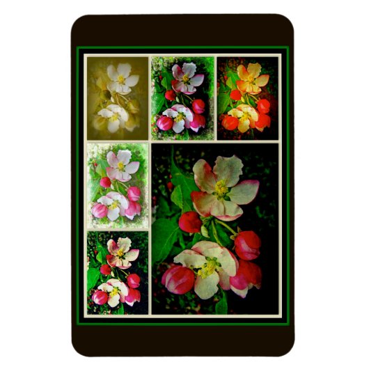 Apple Blossom Collage - Enhanced Digital Photo Magneet (Verticaal)