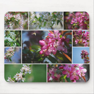 Apple Blossom Collage Mousepad Muismat