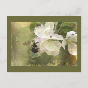 Apple Blossom en Bumblebee Briefkaart