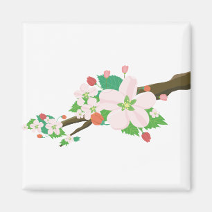 Apple Blossom Flowers Natuur Fruit Tree Spring Magneet