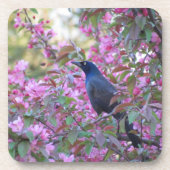 Apple Blossom Grackle Onderzetter (Voorkant)