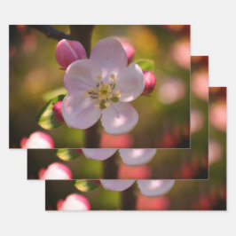 Apple Blossom Inpakpapier Vel