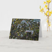 Apple Blossom Kaart (Gele Bloem)