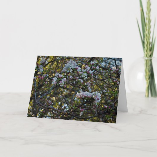 Apple Blossom Kaart (Voorkant)