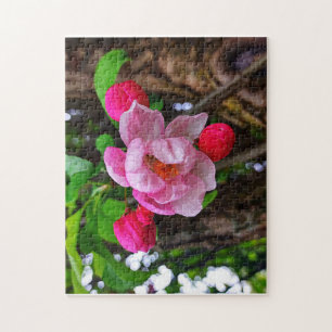 APPLE BLOSSOM  LEGPUZZEL