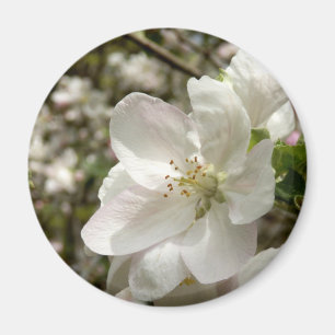 Apple Blossom Magnet Magneet