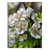 Apple Blossom Notitieboek (Voorkant)