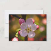 Apple Blossom Notitiekaartje (Voorkant)
