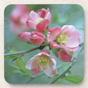 Apple Blossom #P0356 Dessous de verre de liège