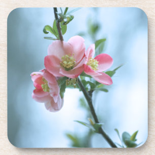 Apple Blossom #P0365 Cork Onderzetter