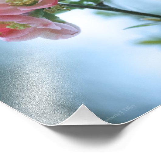 Apple Blossom #P0365 Impression photo (Coin)