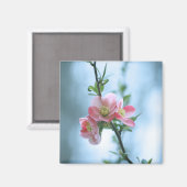 Apple Blossom #P0365 Magnet (Recto/Verso)