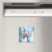 Apple Blossom #P0365 Magnet (In Situ (Lave-vaisselle))