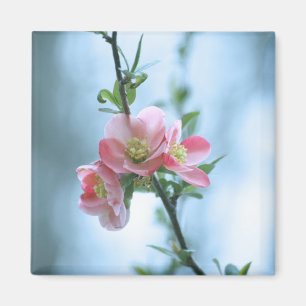 Apple Blossom #P0365 Magnet Magneet