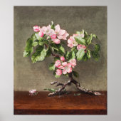 Apple Blossom Poster (Voorkant)
