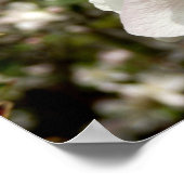 Apple Blossom Poster (Hoek)