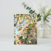 Apple Blossom Sunshine Briefkaart (Staand voorkant)