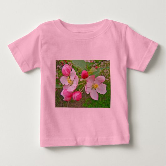 Apple Blossom Time (Voorkant)