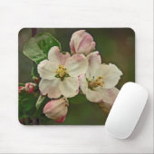 Apple Blossom Time Muismat (Met muis)