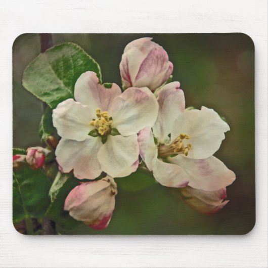 Apple Blossom Time Muismat (Voorkant)