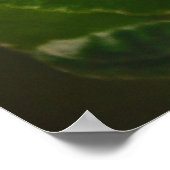 Apple Blossom Time Poster (Hoek)