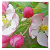 Apple Blossom Time Tegeltje (Voorkant)