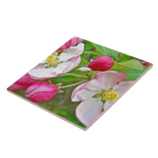 Apple Blossom Time Tegeltje (Zijkant)