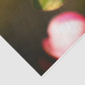 Apple Blossom Tissuepapier (Detail)